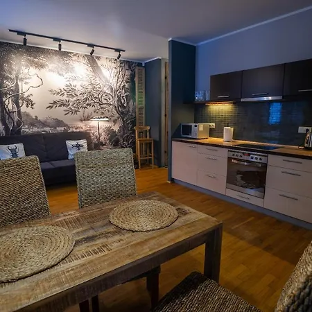 Art Z Bezplatnym Miejscem Postojowym W Hali Garazowej Apartmán Karpacz