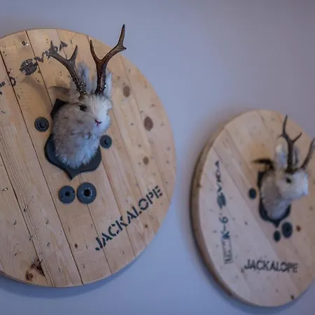 Apartmán Art Z Bezplatnym Miejscem Postojowym W Hali Garazowej Karpacz