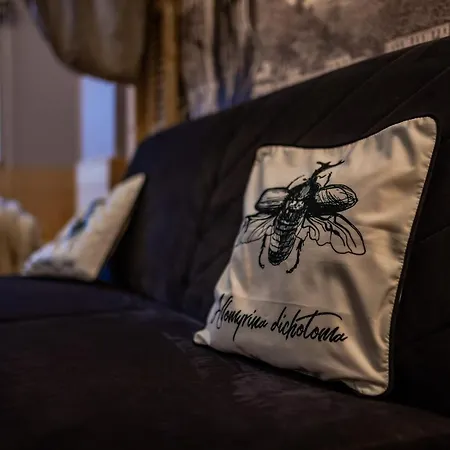 Art Z Bezplatnym Miejscem Postojowym W Hali Garazowej Appartement *