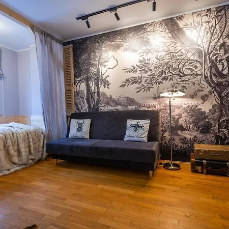 Art Z Bezplatnym Miejscem Postojowym W Hali Garazowej カルパッチ