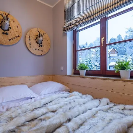 Art Z Bezplatnym Miejscem Postojowym W Hali Garazowej カルパッチ