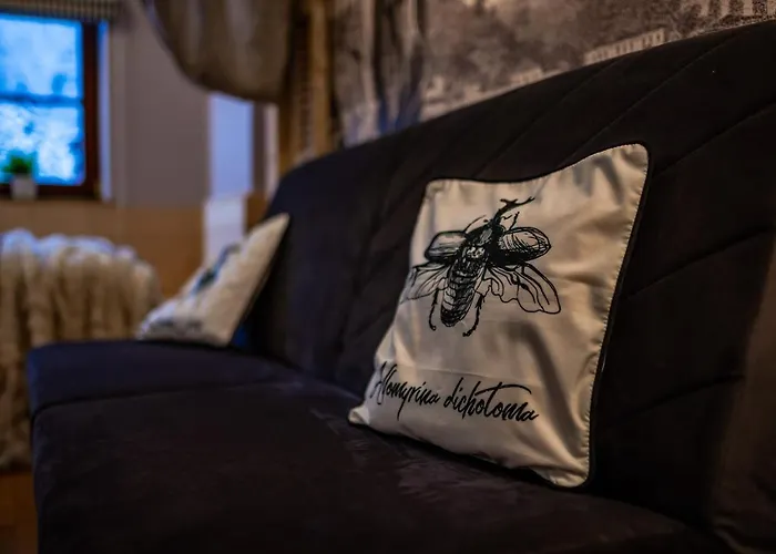 Art Z Bezplatnym Miejscem Postojowym W Hali Garazowej Apartment *